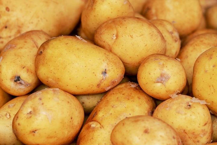 Что нужно сделать, чтобы картофель не прорастал в погребе