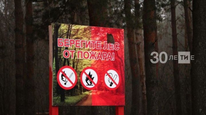 По нацпроекту «Экология» в Татарстане появятся две новые лесопожарные станции