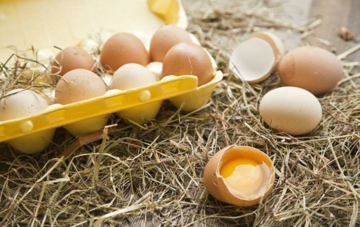 Когда полезнее есть яйца: утром или на ночь