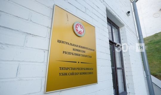Татарстанские работники избирательных комиссий прошли онлайн обучение