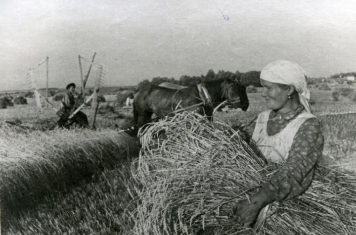 Министерство сельского хозяйства и продовольствия РТ поздравляет работников агропромышленного комплекса со 100-летием ТАССР
