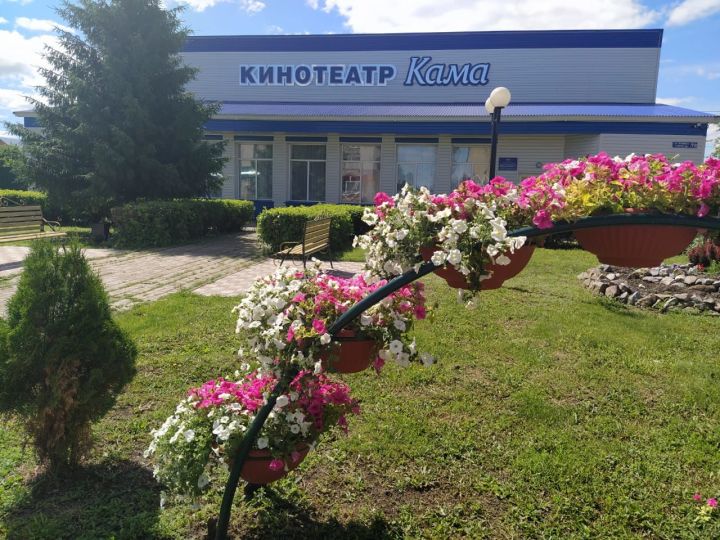 Злоумышленники украли три горшка с цветами в Алексеевском