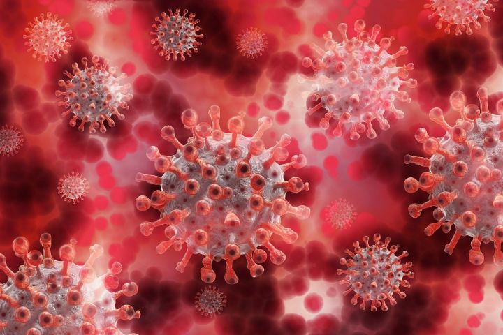 В Татарстане подтвердились еще 2 случая смерти от коронавируса