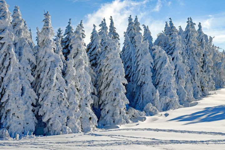 Синоптики спрогнозировали когда выпадет первый снег