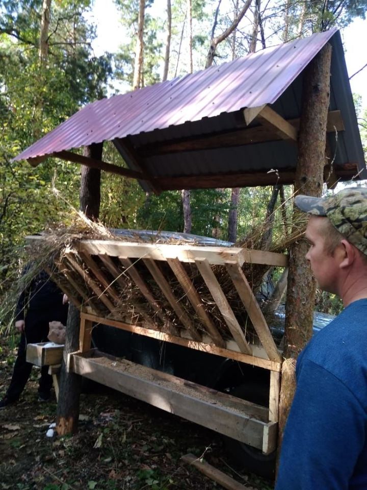 Ученики Куркульской школы в лесу сделали кормушку для косуль