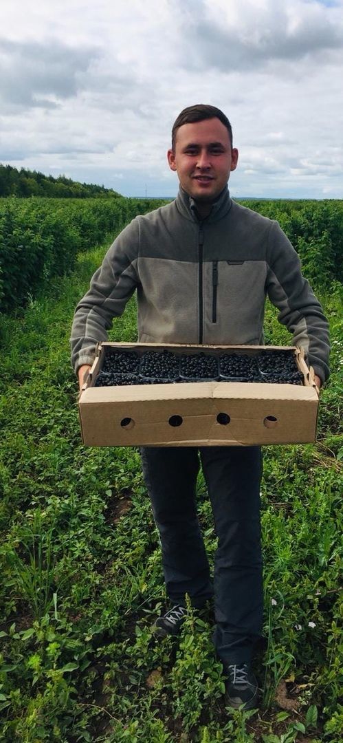 Молодой фермер Раиль Шакиров заложил плантацию ремонтантного сорта малины «Полка» в Алексеевском районе