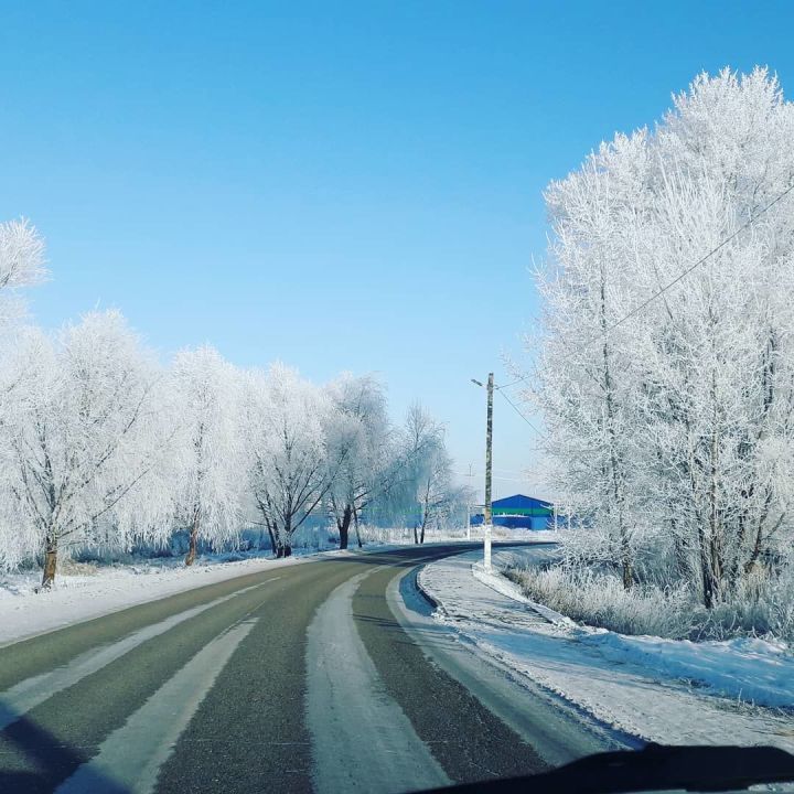 Ежедневный оперативный прогноз погоды на 12 февраля для жителей Алексеевского района