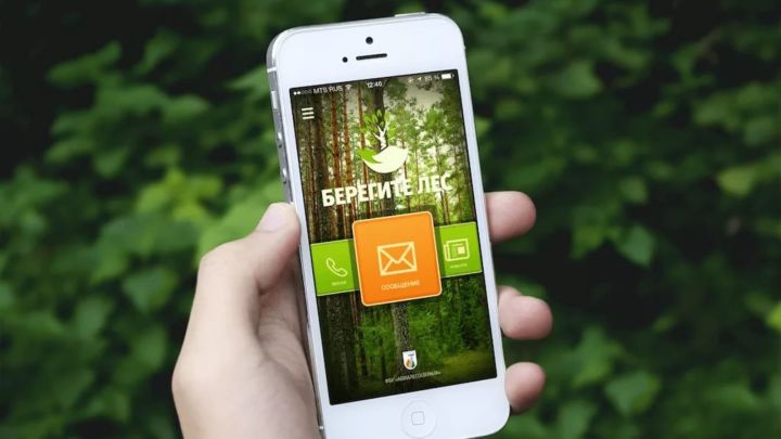 Для жителей РТ доступно новое приложение по охране леса