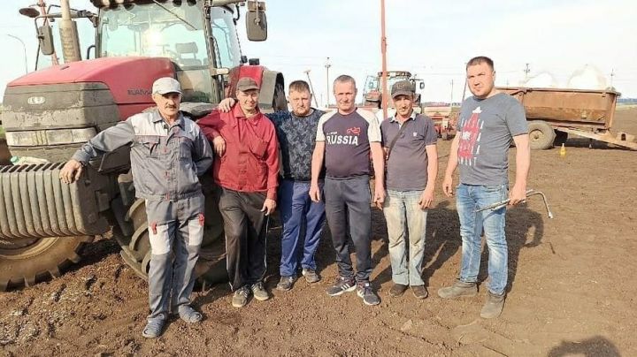 Аграрии Алексеевского района на 80% завершили сев