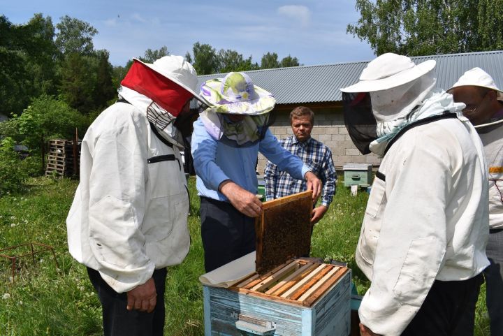 В Алексеевском состоялось практическое совещание пчеловодов