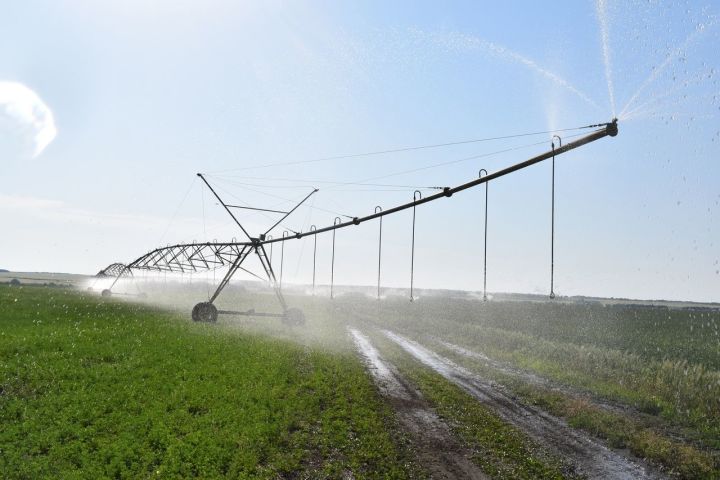 В колхозе «Родина» для увеличения урожайности применяется система полива