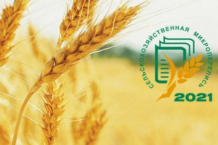 В Алексеевском районе во время Всероссийской сельхозяйственной микропереписи будут работать 15 счетных участков
