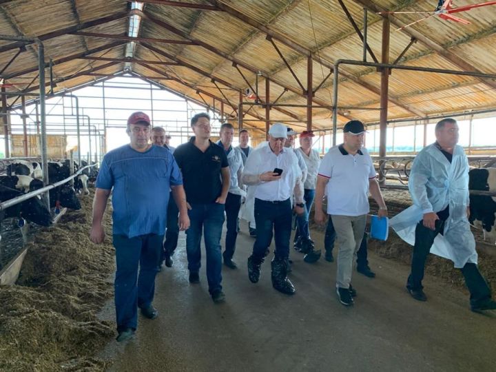 В Алексеевском районе состоялась встреча в животноводческом комплексе «Левашево» АО «КВ Агро»