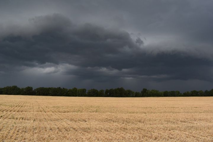 МЧС предупреждает жителей Алексеевского района об ухудшении погодных условий 22 июля