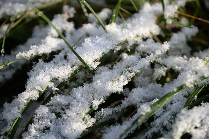 Синоптики спрогнозировали первый снег в начале сентября