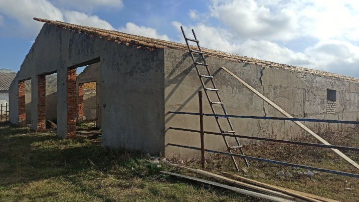 В Чув. Майне восстанавливают ферму на 600 голов