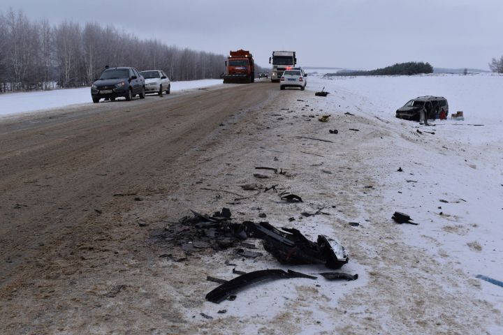 В Алексеевском районе женщина-водитель погибла в ДТП