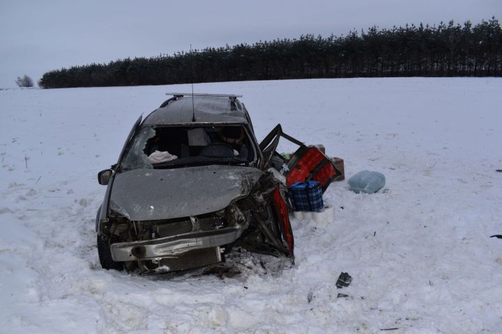 В Алексеевском районе женщина-водитель погибла в ДТП