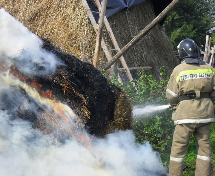 С 25 апреля по 15 мая в РТ объявлен особый противопожарный режим