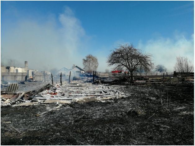 Пожарные Алексеевского района предупреждают об опасности пала сухой травы