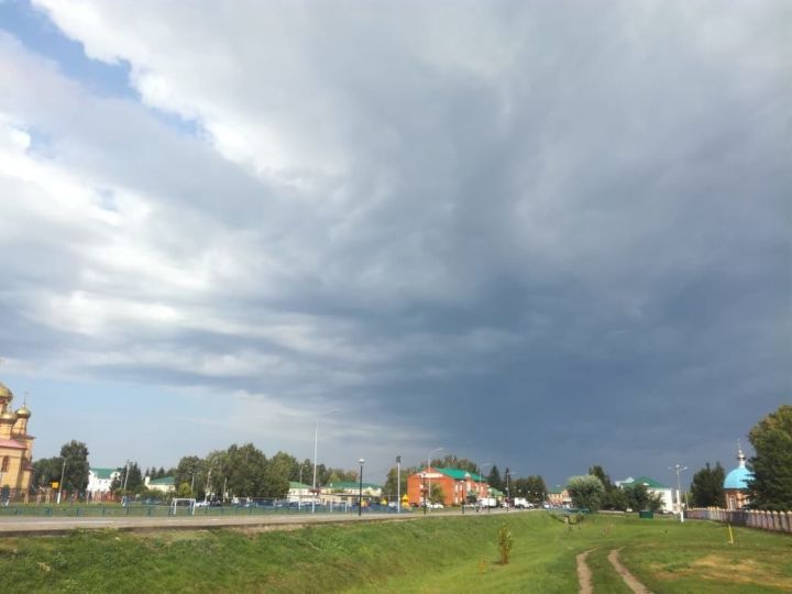 Ежедневный оперативный прогноз погоды на 21 июня для жителей Алексеевского района