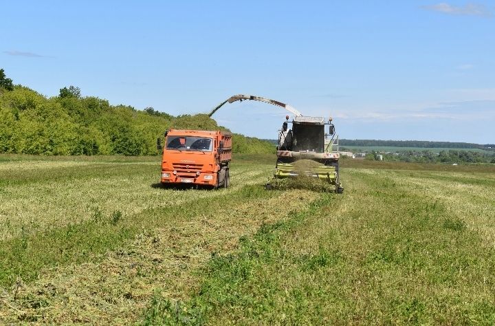 В Алексеевском районе продолжается заготовка кормов