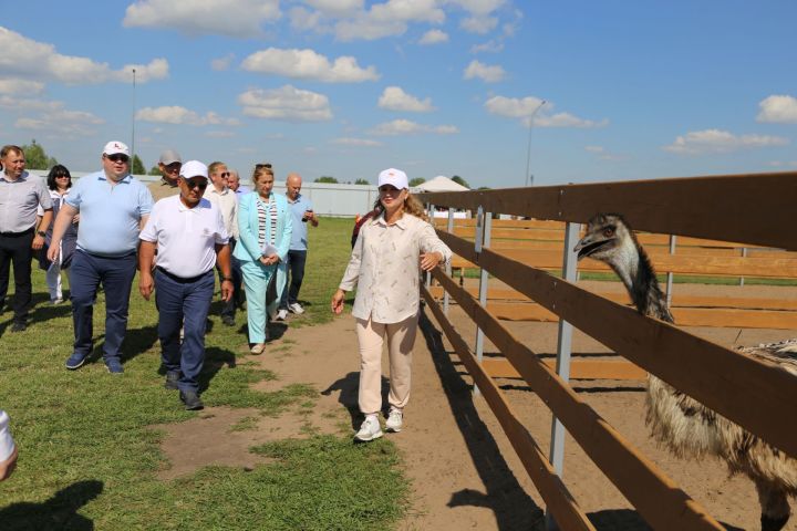 Татарстан Президенты Биләрдәге археологик казу урынында, эко-фермада һәм “Сәләт” форумында булды