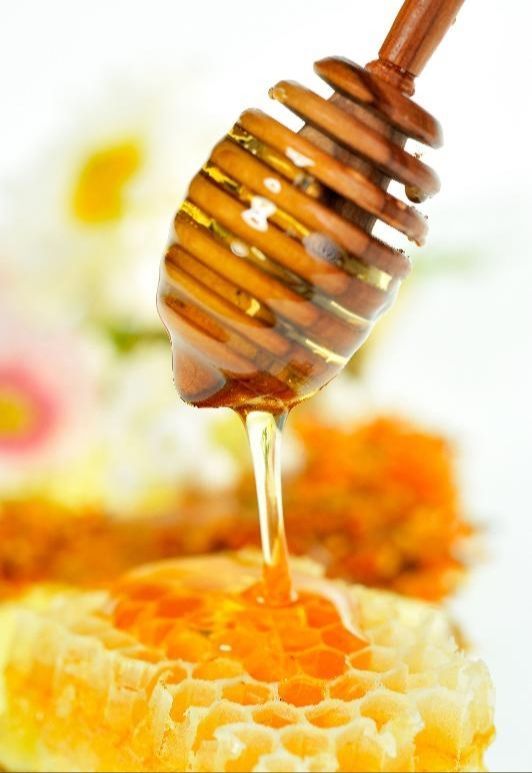 Прошлогодний мёд полезнее свежего: какой мёд самый лучший?