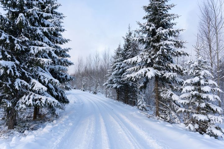 Прогноз погоды на 24 ноября