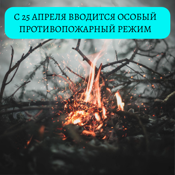 В Татарстане с 25 апреля вводят особый противопожарный режим