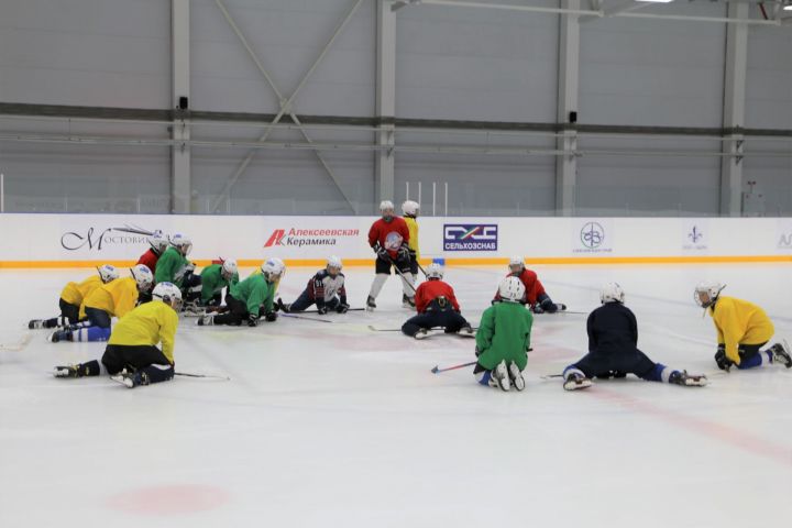 В Алексеевском проходят учебно-тренировочные сборы по хоккею и фигурному катанию