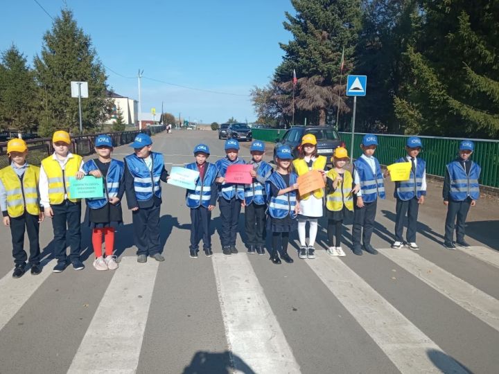 В Мокрых Курналях Алексеевского района школьники вспомнили ПДД
