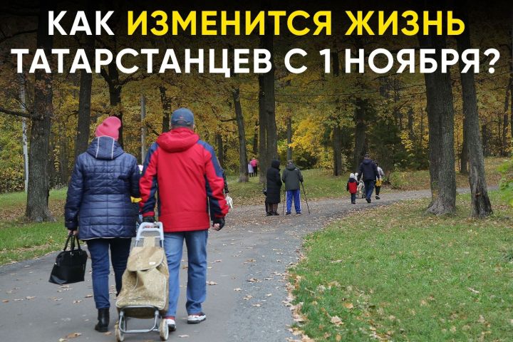 С 1 ноября в России начинают действовать новые законодательные нормы