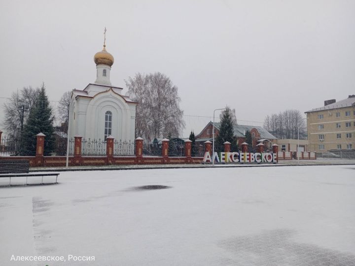 Прогноз погоды в Алексеевском на 16 ноября
