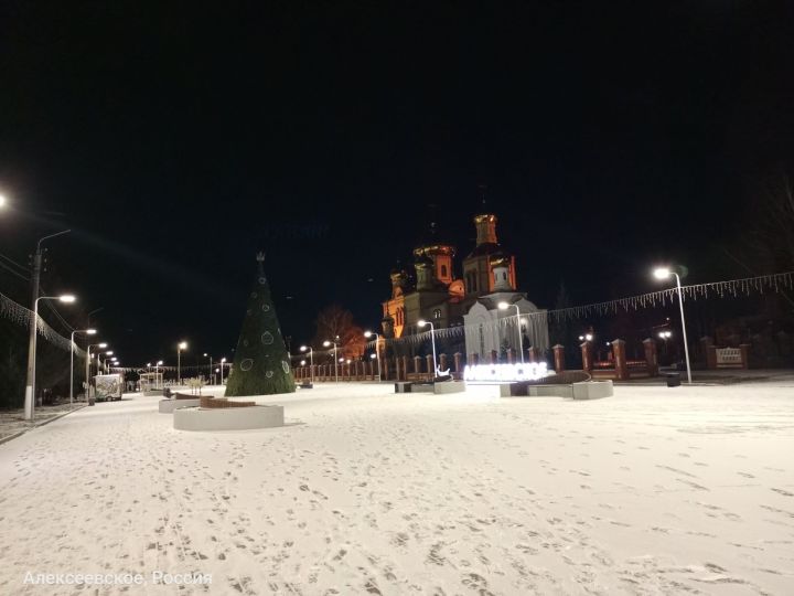 Прогноз в Алексеевском на 11 декабря