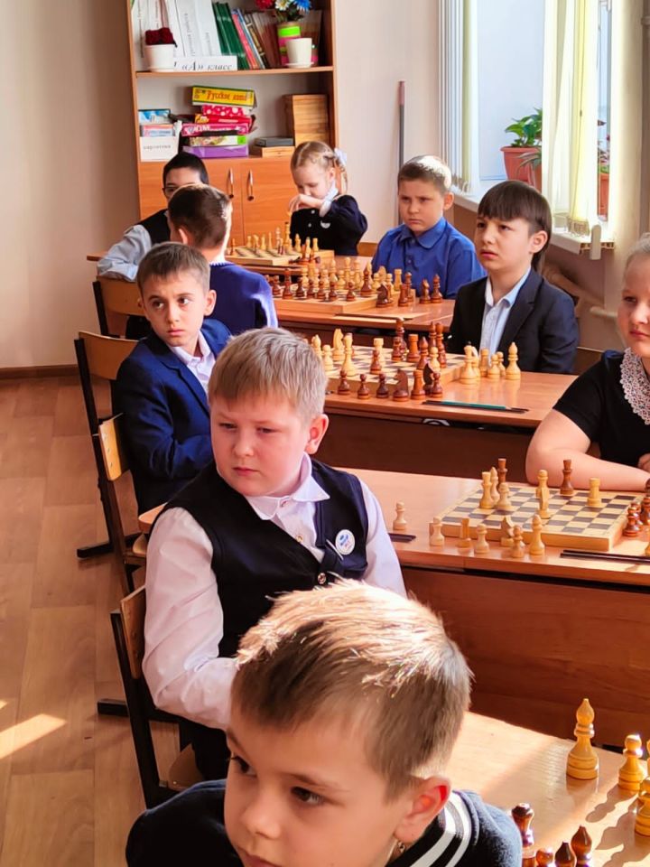 В Алексеевском определились победители Муниципального этапа открытых Всероссийских соревнований по шахматам