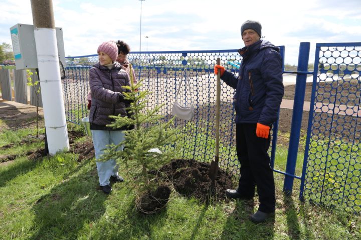 В Алексеевском районе прошла акция «Посади дерево», приуроченная к Году семьи