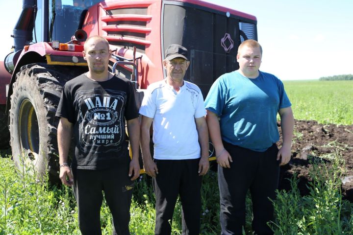 В Алексеевском районе приступили к обработке паровых полей