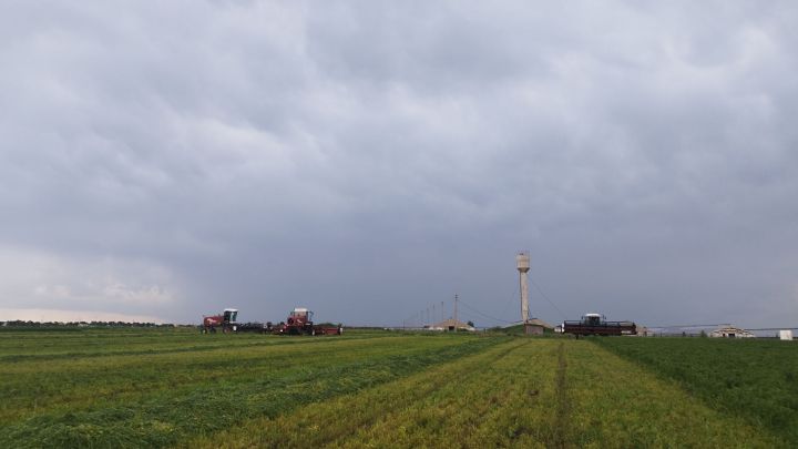 Прогноз погоды на 6 июня