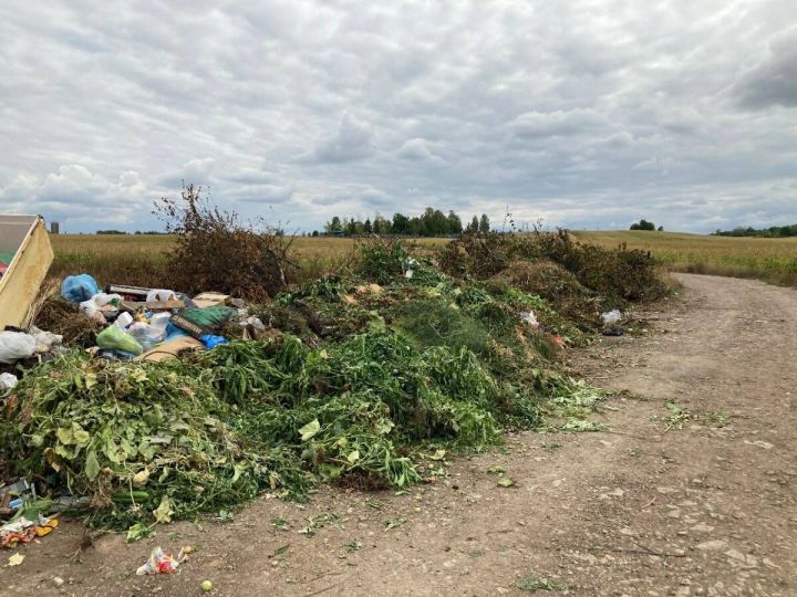 Дачники загрязняют окружающую среду своими зелеными отходами
