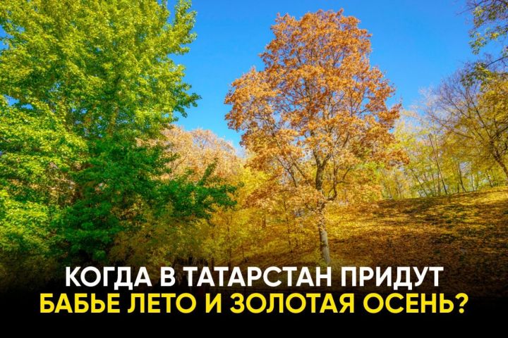 Когда в Татарстан придёт бабье лето