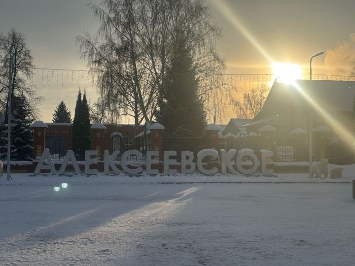 Прогноз погоды в Алексеевском на 31 декабря