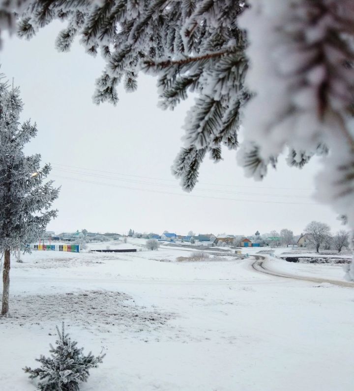 Прогноз погоды в Алексеевском на 13 февраля