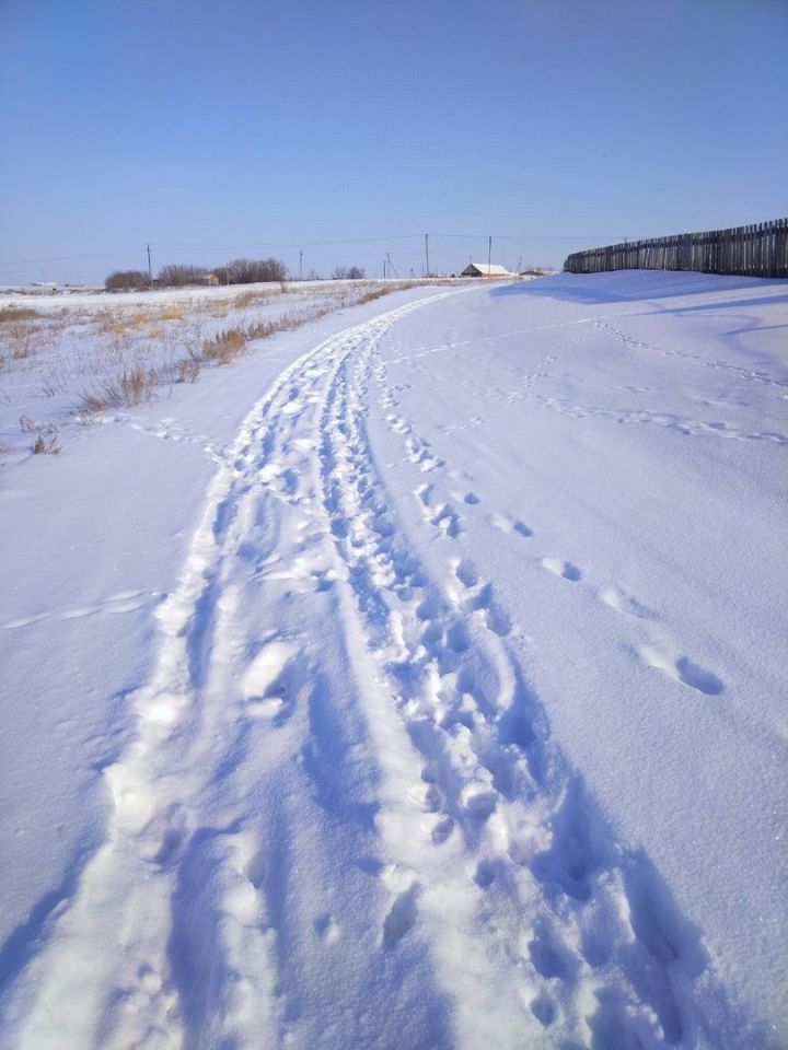Прогноз погоды в Алексеевском на 27 февраля