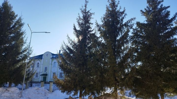Прогноз погоды в Алексеевском на 22 марта