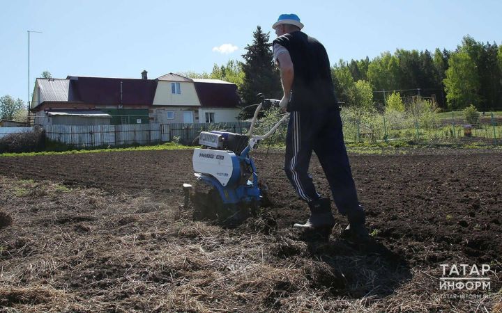 В Татарстане владельцам заброшенных участков дали три года на уборку