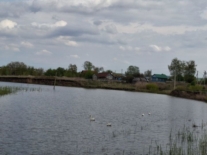 Прогноз погоды в Алексеевском на 3 июня
