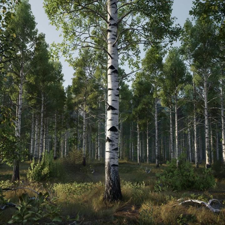 Когда и как собрать идеальный набор для бани