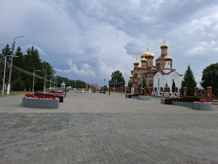 Оперативный прогноз погоды в Алексеевском на 20 августа