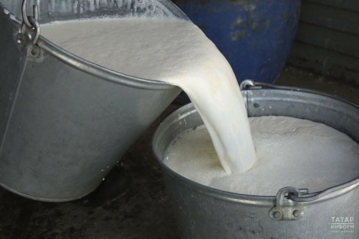 Татарстан установил рекорд по производству молока, превысив 2,37 млн тонн в 2025 году